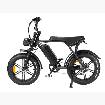 20 Inch Fat Tire 2000W 48V 40AH Electric Bike for Off-Road and City Cycling