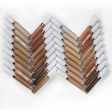 OCHAIN LOW MOQ Private Label Cosmetic Makeup New Arrivals Full Coverage Liquid Concealer