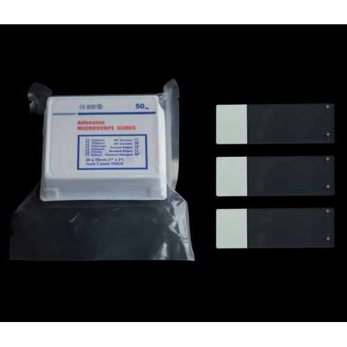 Prepared Microscope Adhesive Slides