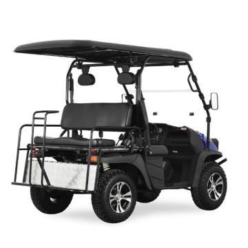 4kw Electric Golf Cart Blue zum Verkauf