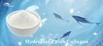 CAS9064-67-9 Hydrolyzed Fish Collagen Peptide Powder