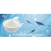 CAS9064-67-9 Hydrolyzed Fish Collagen Peptide Powder