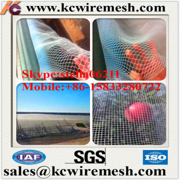 Factory!!!! Here!!!!! Anti Hail Mesh Netting for Tree Plants Fruit