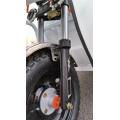 Electric tricycle for daily loads and cargo