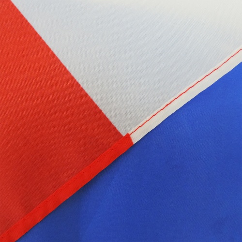 Best selling national French custom hand held flags