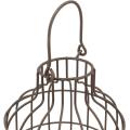 Large Metal Wire Cage Cloche