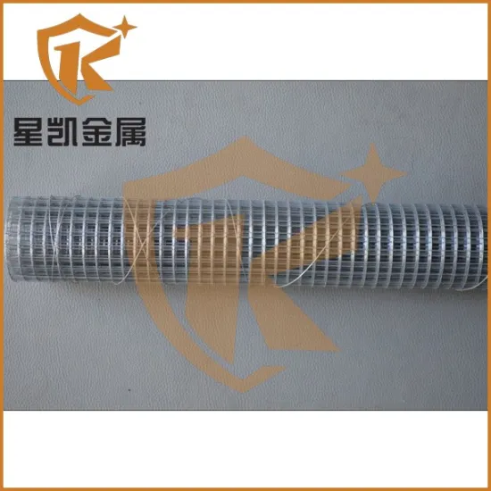 14 * 16mm galvanized welded wire mesh roll for worldwide buyer