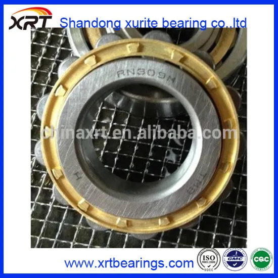 Supply Cylindrical Roller Bearings RN309M ,Reducer bearings RN309M