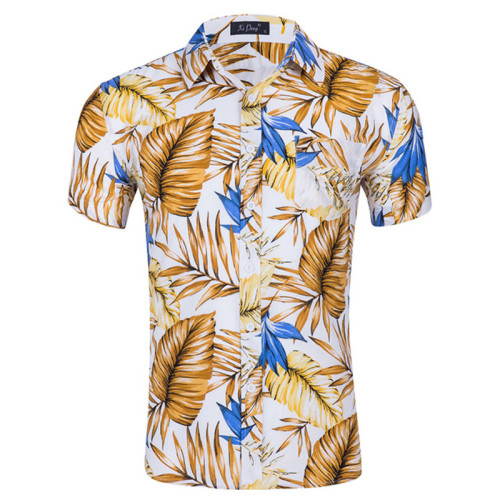 Variedade de camisas de praia masculinas