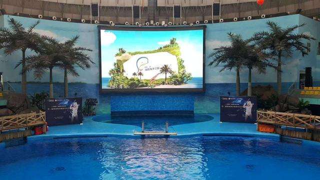 Swimming Pool Screen