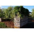 Scatola di gabion esagonale/box gabion rivestito in PVC/cestino di gabion