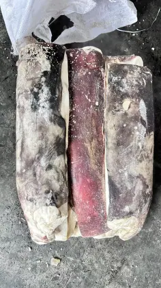 Frozen Giant Squid Slices