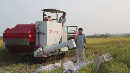 Automatic Big Rice Wheat Harvester - New Combine Harvester Price
