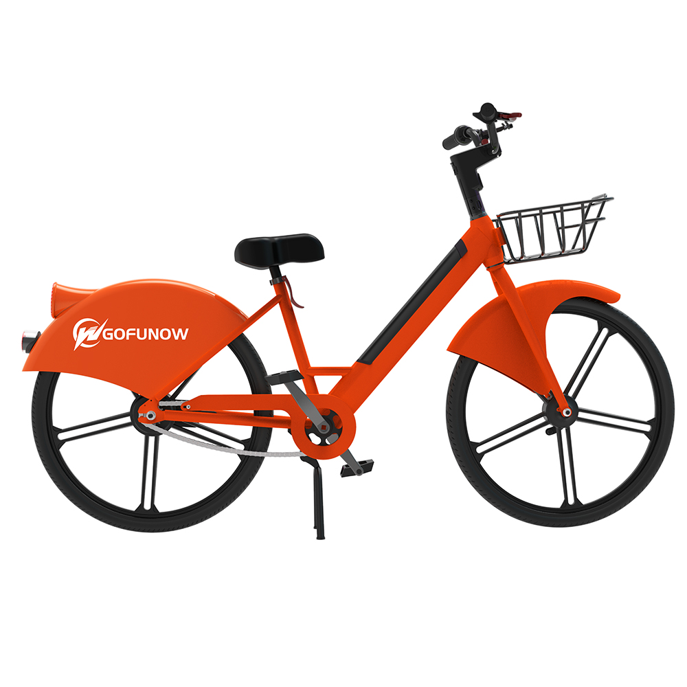 Electric Bike For Rental (6)