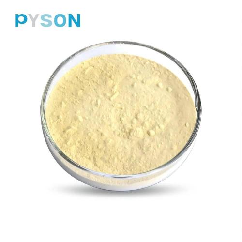 American Ginseng Extract Ginsenosides 5%