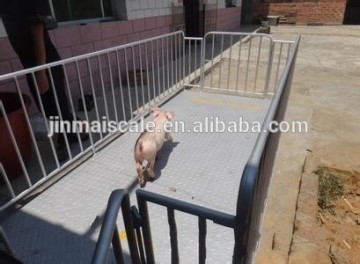 weighing scales for pig scale