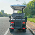 4-seater golf patrol car