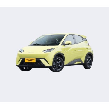 Byd Seagll 2025 Ptatity Patitatity Proce Proce Gaariga Mini