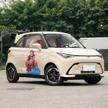 2024-2023 China's Best Cheap New Energy Pure Electric Compact Hatchback Cars: Cowin Shiyue