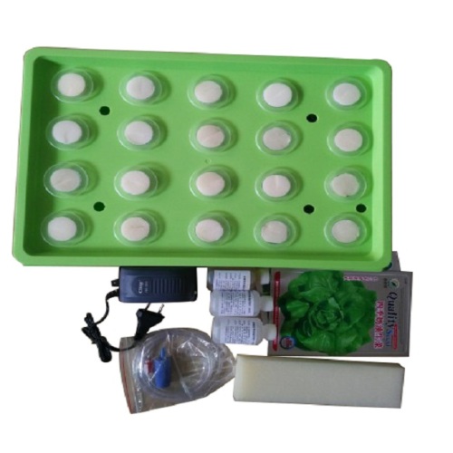 Hidroponia Grow Box Kit Para Grwoing Vegetal Interior