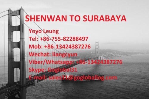 Carga de mar de Zhongshan Shenwan a Indonesia Surabaya