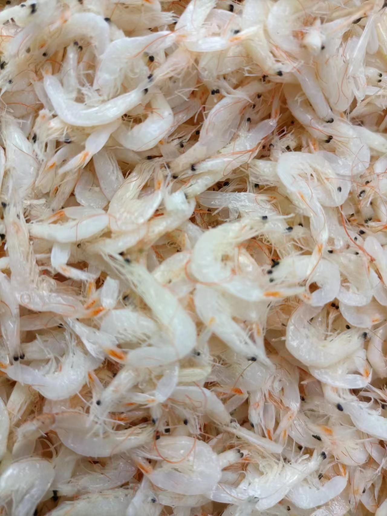 শুকনো ছোট চিংড়ি