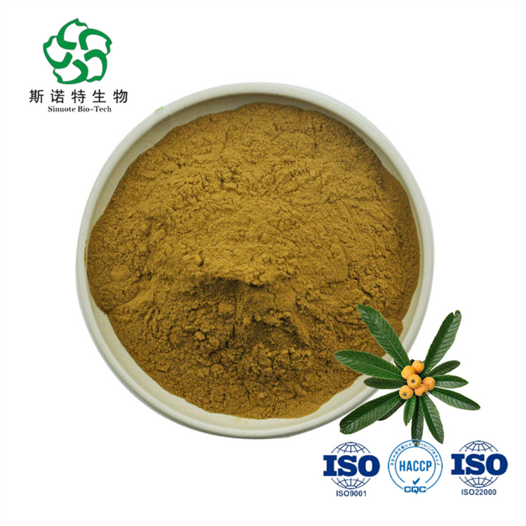 Loquat Leaf Extract