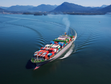 Sea Freight  20 21