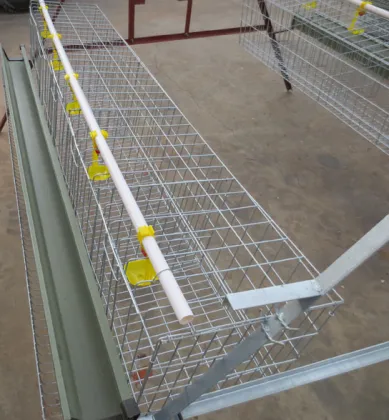 chicken cage for poultry