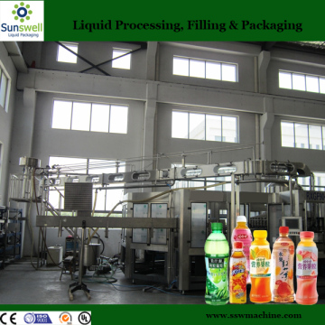 Complete Bottled Fruit Juice Filling Production Line Price