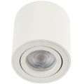 Ayarlanabilir LED Yuvarlak Sıva Üstü Trimsiz Downlight