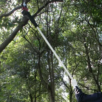 Long Handle Electric Pruner Shears for High Trees
