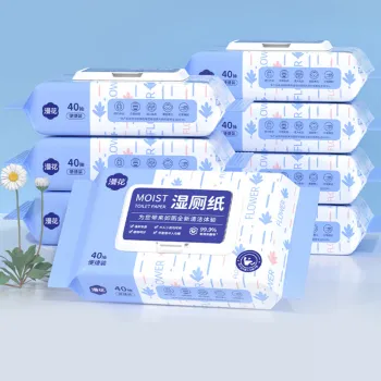 Eco-Friendly Disposable Wet Wipes - Factory Supply Wholesale Collapsible Pure Water Toilet Paper