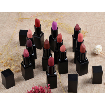 Logo Custom Waterproof Matte Vegan Gincu Makeup