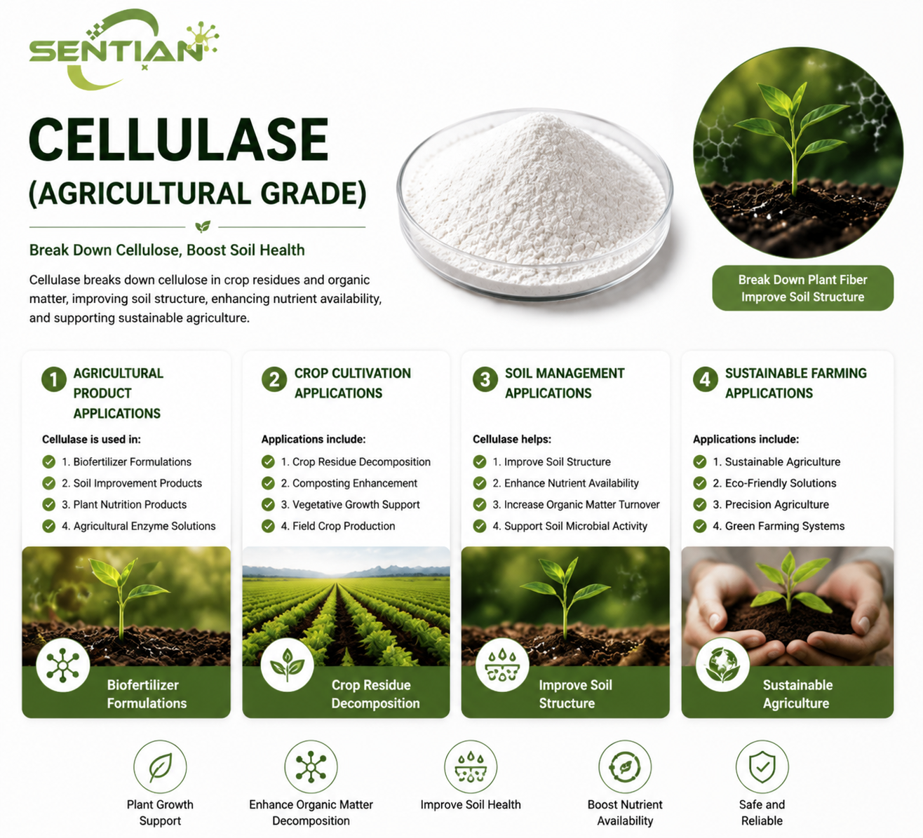 Cellulase2 Cellulase2