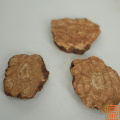 Extracto multiflorum de Polygonum tetrahidroxystilbene glucósido 50%