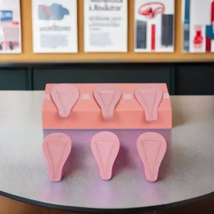DARHMMY Advanced Medical Abortion Simulation Uterus Model for Maternity Care