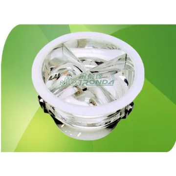 100W Induction Down Light