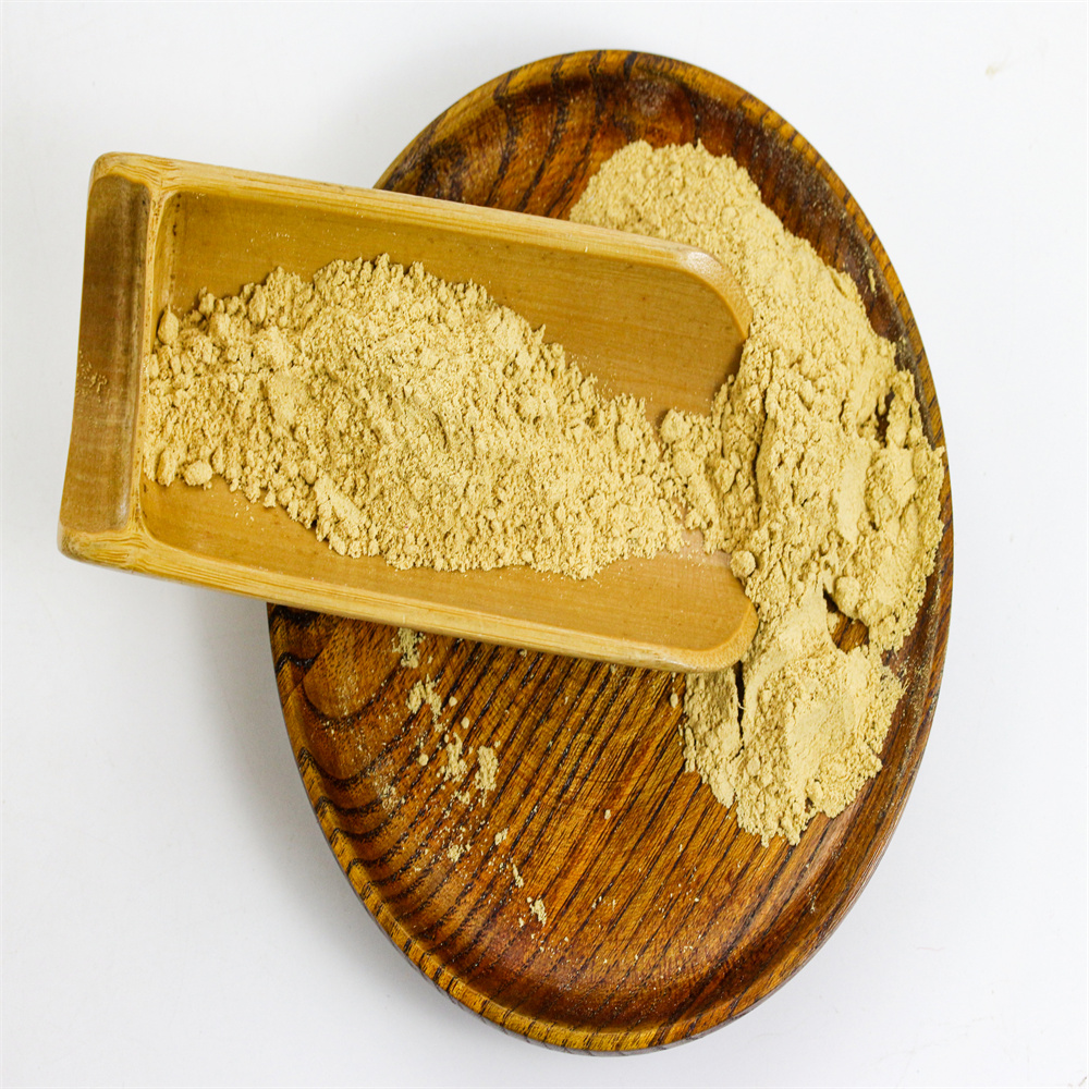 Factory supply ginger powder