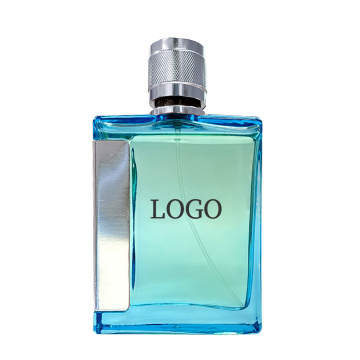 2023 New Customized Low Price 100ml Empty Perfumes and Fragrances