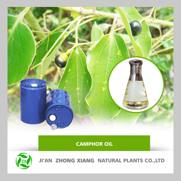 High Quality Natural Camphor powder at bulk price