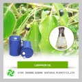 High Quality Natural Camphor powder at bulk price