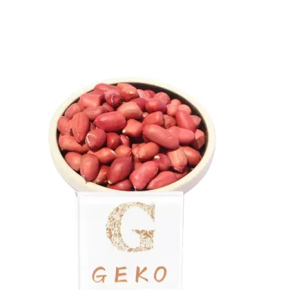 GEKO Food Cheap Wholesale Optimum Nutrition Peanuts for Peanut Oil
