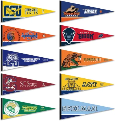 Sunshine High-Quality Sublimation Custom Logo Sport Wall Decoration - Oxford University Pennant
