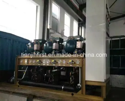 Compressor Unit for Cold Storage Refrigeration/ Cold Room