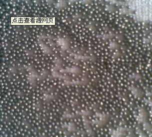 Lead Shot/Lead Granule (99.99%)