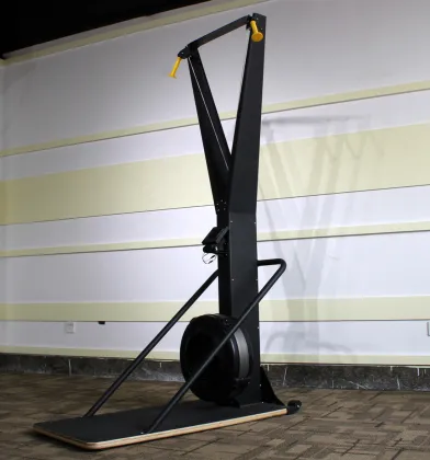 Ski Machine Gym Equipment Manufacturer: Home Indoor Cardio Fitness Equipment & Ski Rowing Machine