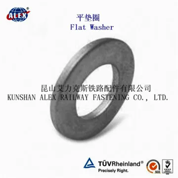 Professional Flat Washer with Free Sample