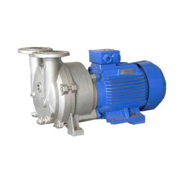 Customized New Product Golden Supplier Vacuum Pump for Grain Conveying