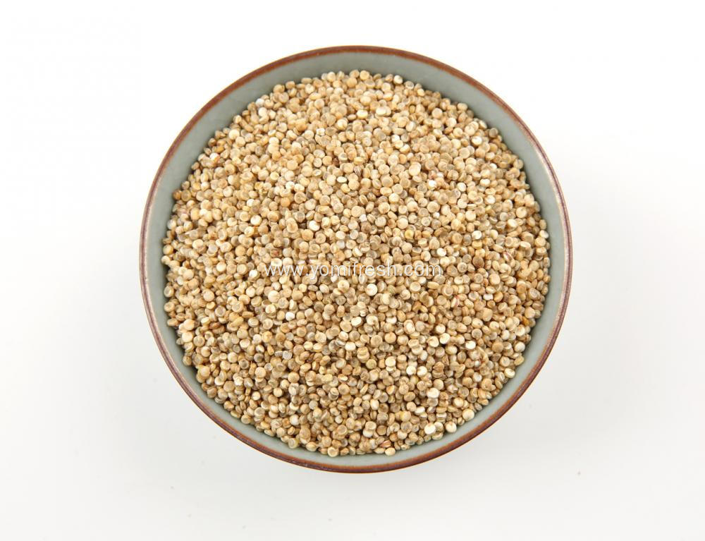 Quinoa Or Rice